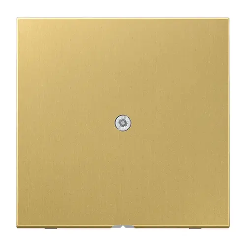 JUNG ME 2990 A C centraalplaat snoer invoer incl. draagframe LS990 messing klassiek