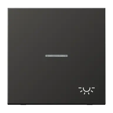 JUNG AL 2990 KO5 L AN schakelwip met lichtsymbool en controlevenster LS990 antraciet gelakt aluminium