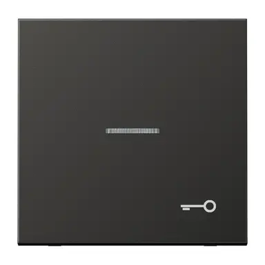 JUNG AL 2990 KO5 T AN schakelwip met sleutelsymbool en controlevenster LS990 antraciet gelakt aluminium