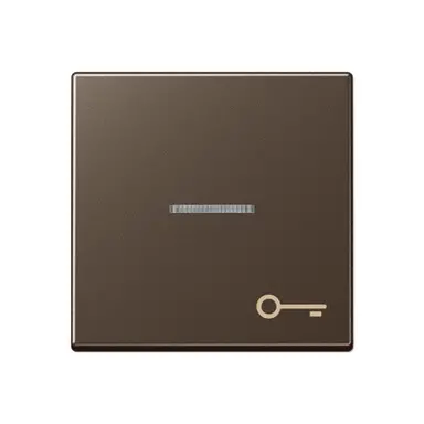 JUNG A 590 KO5 T MO schakelwip met sleutelsymbool en controlevenster A-range mokka