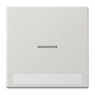 JUNG LS 990 NAKO5 LG schakelwip met controlevenster en tekstvenster LS990 lichtgrijs
