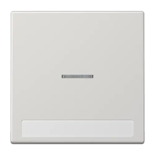 JUNG LS 990 NAKO5 LG schakelwip met controlevenster en tekstvenster LS990 lichtgrijs