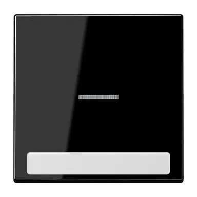 JUNG LS 990 NAKO5 SW schakelwip met controlevenster en tekstvenster LS990 zwart