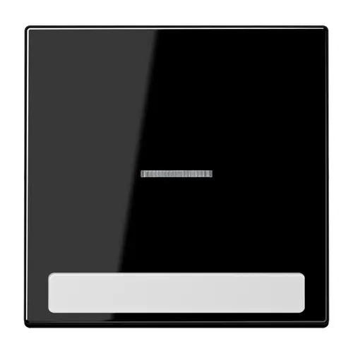 JUNG LS 990 NAKO5 SW schakelwip met controlevenster en tekstvenster LS990 zwart glans