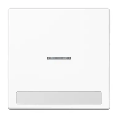 JUNG LS 990 NAKO5 WW schakelwip met controlevenster en tekstvenster LS990 alpine wit