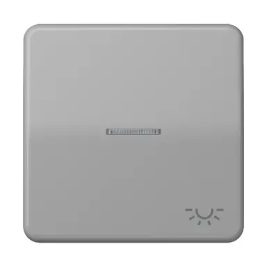 JUNG CD 590 KO5L GR schakelwip met controlevenster met lichtsymbool CD500 grijs