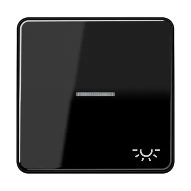 JUNG CD 590 KO5L SW schakelwip met lichtsymbool en controlevenster CD500 zwart glans