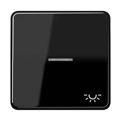 JUNG CD 590 KO5L SW schakelwip met lichtsymbool en controlevenster CD500 zwart glans