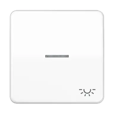 JUNG CD 590 KO5L WW schakelwip met controlevenster met lichtsymbool CD500 alpine wit