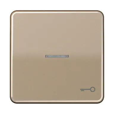 JUNG CD 590 KO5T GB schakelwip met sleutelsymbool en controlevenster CD500 goud brons