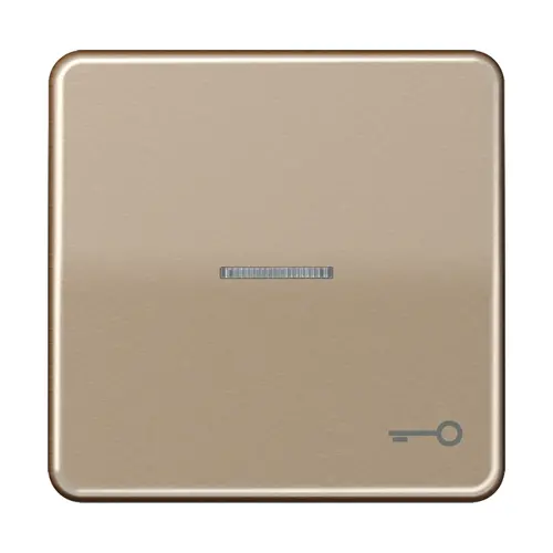 JUNG CD 590 KO5T GB schakelwip met sleutelsymbool en controlevenster CD500 goud brons