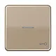 JUNG CD 590 KO5T GB schakelwip met sleutelsymbool en controlevenster CD500 goud brons