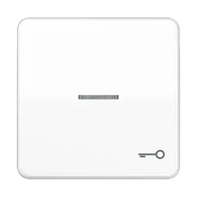 JUNG CD 590 KO5T WW schakelwip met sleutelsymbool en controlevenster CD500 alpine wit