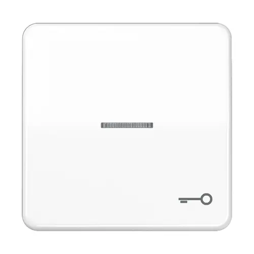 JUNG CD 590 KO5T WW schakelwip met sleutelsymbool en controlevenster CD500 alpine wit