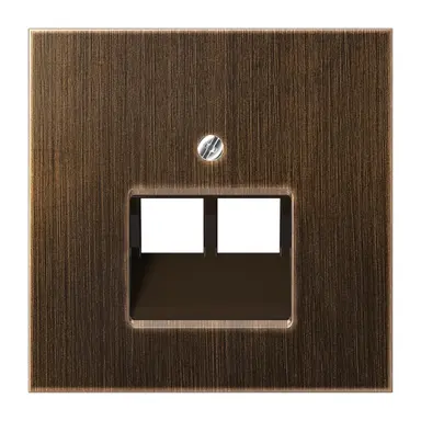 JUNG ME 2969-2 UA AT centraalplaat 2-voudig tbv RJ45 wandcontactdoos LS990 messing antiek