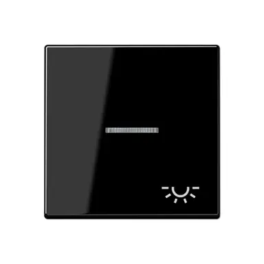 JUNG A 590 KO5 L SW schakelwip met lichtsymbool en controlevenster A-range zwart glans