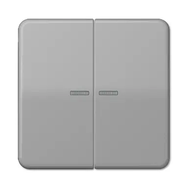 JUNG CD 595 KO5 GR schakelwip 2-voudig met controlevenster CD500 grijs
