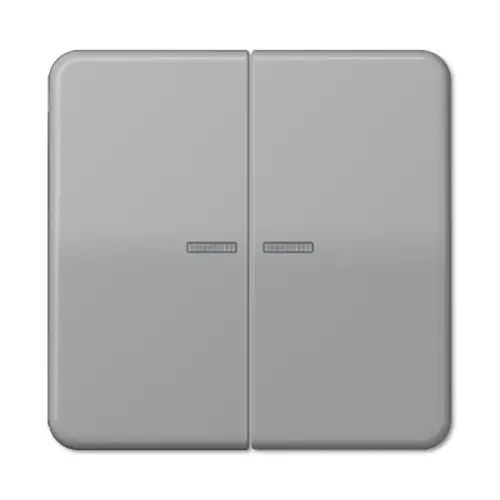 JUNG CD 595 KO5 GR schakelwip 2-voudig met controlevenster CD500 grijs