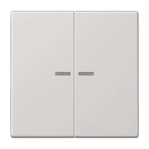 JUNG LS 995 KO5 LG schakelwip 2-voudig met controlevenster LS990 lichtgrijs