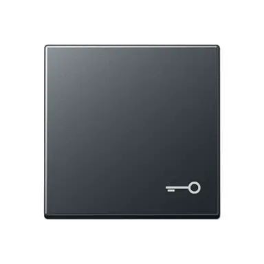 JUNG A 590 BF T ANM schakelwip met sleutelsymbool A-range antraciet mat