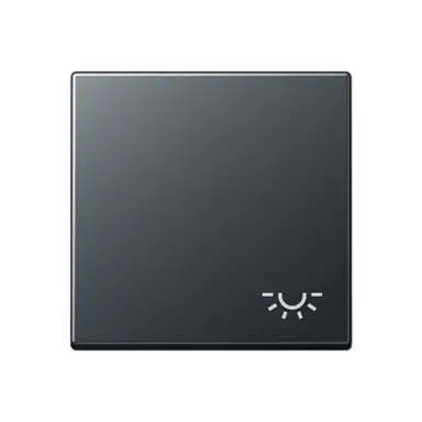 JUNG A 590 BF L ANM schakelwip met lichtsymbool A-range antraciet mat