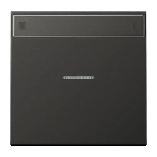 JUNG AL 2990 NAKO5 AN schakelwip met controlevenster en tekstvenster LS990 antraciet gelakt aluminium