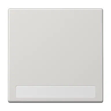 JUNG LS 990 NA LG schakelwip met tekstvenster LS990 lichtgrijs