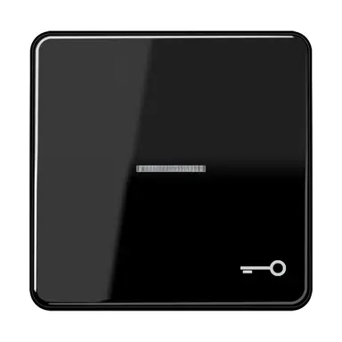 JUNG CD 590 KO5T SW schakelwip met sleutelsymbool en controlevenster CD500 zwart glans