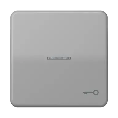 JUNG CD 590 KO5T GR schakelwip met sleutelsymbool en controlevenster CD500 grijs