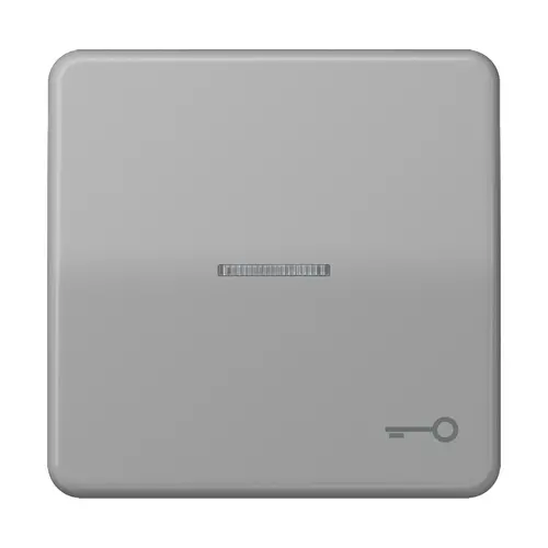 JUNG CD 590 KO5T GR schakelwip met sleutelsymbool en controlevenster CD500 grijs
