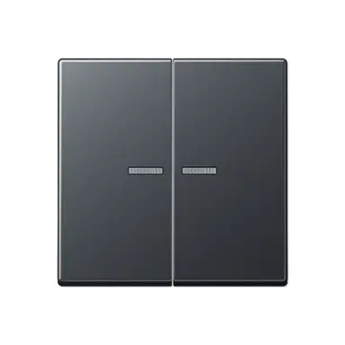 JUNG A 595 BF KO5 ANM schakelwip 2-voudig met controlevenster A-range antraciet mat