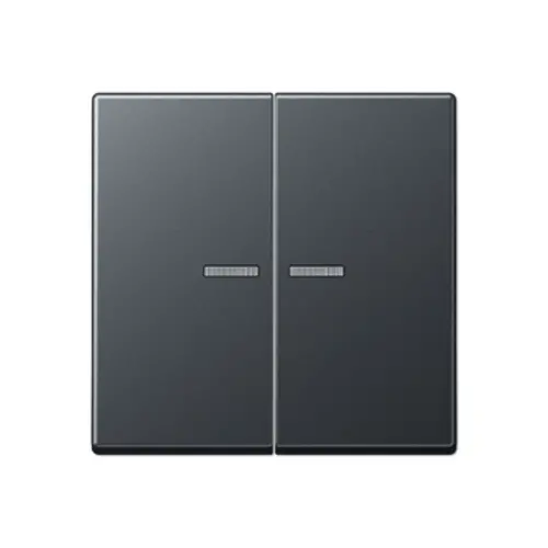 JUNG A 595 BF KO5 ANM schakelwip 2-voudig met controlevenster A-range antraciet mat