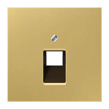 JUNG ME 2969-1 UA C centraalplaat 1-voudig tbv RJ45 wandcontactdoos LS990 messing klassiek