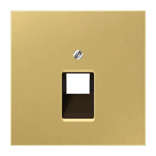 JUNG ME 2969-1 UA C centraalplaat 1-voudig tbv RJ45 wandcontactdoos LS990 messing klassiek