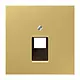 JUNG ME 2969-1 UA C centraalplaat 1-voudig tbv RJ45 wandcontactdoos LS990 messing klassiek