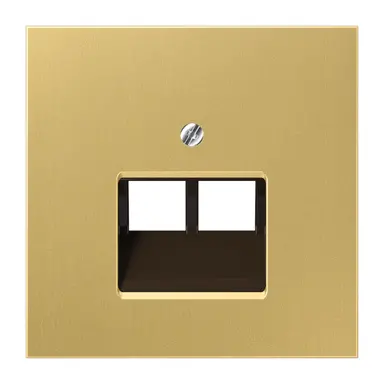 JUNG ME 2969-2 UA C centraalplaat 2-voudig tbv RJ45 wandcontactdoos LS990 messing klassiek
