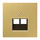 JUNG ME 2969-2 UA C centraalplaat 2-voudig tbv RJ45 wandcontactdoos LS990 messing klassiek