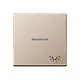 JUNG A 590 KO5 L CH schakelwip met lichtsymbool en controlevenster A-range champagne