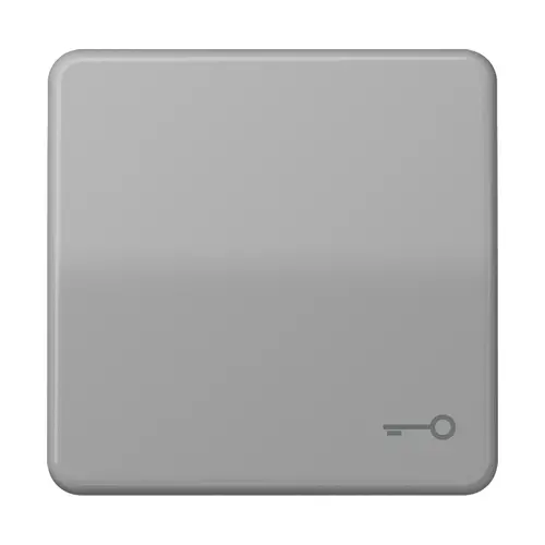 JUNG CD 590 T GR schakelwip met sleutelsymbool CD500 grijs