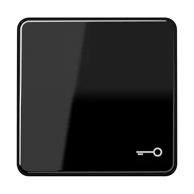 JUNG CD 590 T SW schakelwip met sleutelsymbool CD500 zwart glans