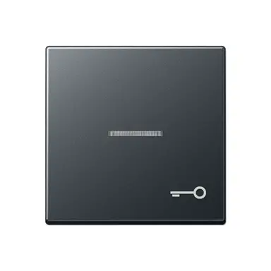JUNG A 590 BFKO5 T ANM schakelwip met sleutelsymbool en controlevenster A-range antraciet mat