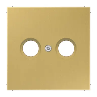 JUNG ME 2990 TV C centraalplaat antenne-coax LS990 messing klassiek