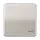 JUNG CD 590 T PT schakelwip met sleutelsymbool CD500 platina
