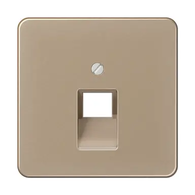 JUNG CD 569-1 UA GB centraalplaat 1-voudig tbv RJ45 wandcontactdoos CD500 goud brons