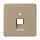 JUNG CD 569-1 UA GB centraalplaat 1-voudig tbv RJ45 wandcontactdoos CD500 goud brons