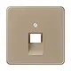 JUNG CD 569-1 UA GB centraalplaat 1-voudig tbv RJ45 wandcontactdoos CD500 goud brons