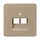 JUNG CD 569-2 UA GB centraalplaat 2-voudig tbv RJ45 wandcontactdoos CD500 goud brons