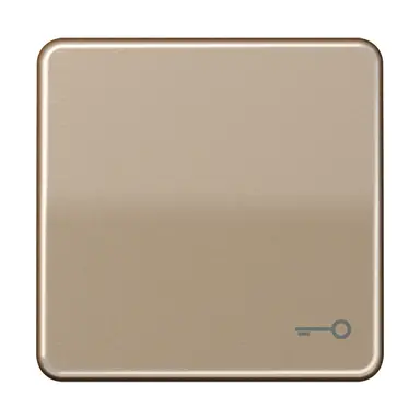 JUNG CD 590 T GB schakelwip met sleutelsymbool CD500 goud brons