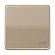 JUNG CD 590 T GB schakelwip met sleutelsymbool CD500 goud brons
