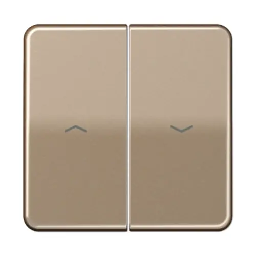 JUNG CD 595 P GB wip 2-voudig met pijlsymbolen tbv jaloezieschakelaar CD500 goud brons